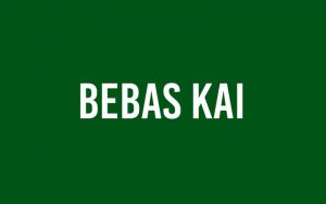 Read more about the article BEBASKAI Font Free Download
