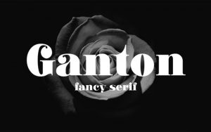 Read more about the article Ganton Font Free Download