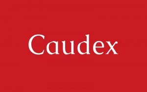 Read more about the article Caudex Font Free Download