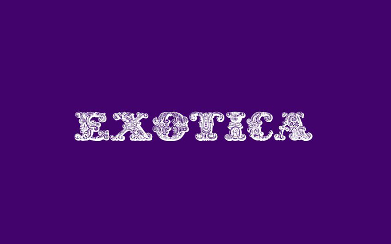 You are currently viewing Exotica Font Free Download