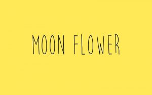 Read more about the article Moon Flower Font Free Download