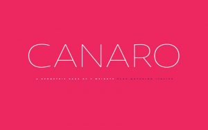 Read more about the article Canaro Sans Font Free Download