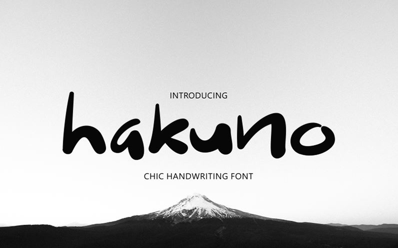 You are currently viewing Hakuno Font Free Download