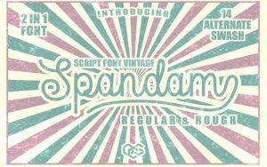 Read more about the article Spandam Font Free Download