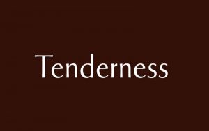 Read more about the article Tenderness Font Free Download